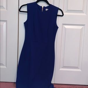 blue calvin klein dress